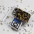 Electronic Scale 500g Kitchen Jewelry Gold Herb Balance Weight Gram Lcd 0.1g High Precision English Version Digital Scale 2022