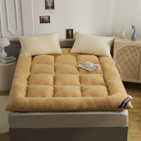 Thick mattress filled with feather velvet dormitory twin bed warm pad japanese tatami mat home king queen bed foldable mattress