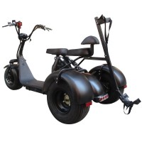 City Escooter 3Wheel Golf Cart EEC COC Approved Electric Cargo Tricycle Citycoco Golf Bag Cart Trike Motorcycle Electric Scooter