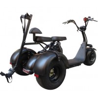 City Escooter 3Wheel Golf Cart EEC COC Approved Electric Cargo Tricycle Citycoco Golf Bag Cart Trike Motorcycle Electric Scooter