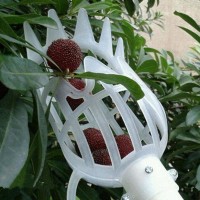 Fruit Picker Fruit Catcher Greenhouse Garden Tools Gardening Fruit Collection Picking Head Tool High Altitude Bayberry Harvester