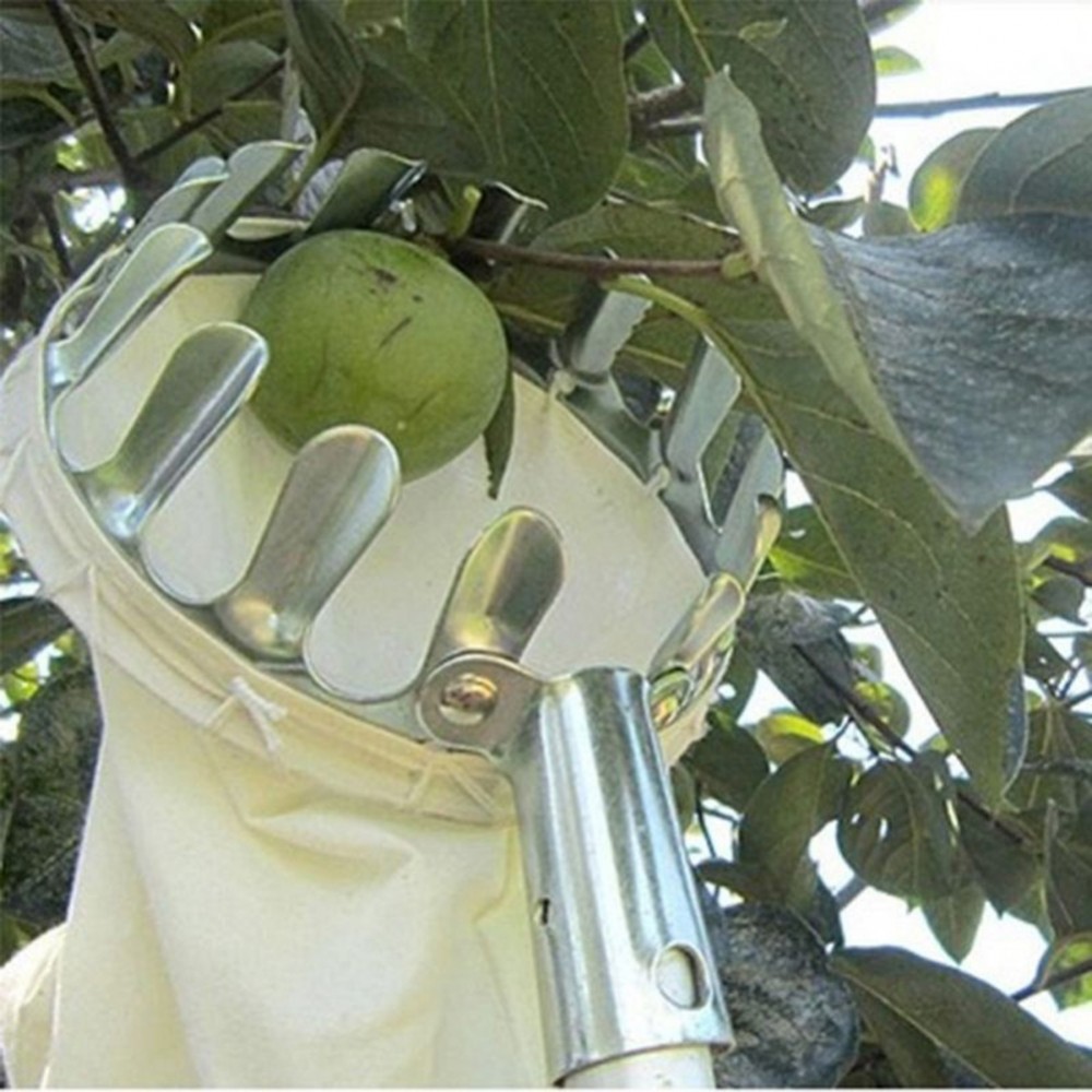 Fruit Picker Gardening Apple Peach High Tree Picking Tools Greenhouse Fruits Collection Picking Catcher Device without Handle