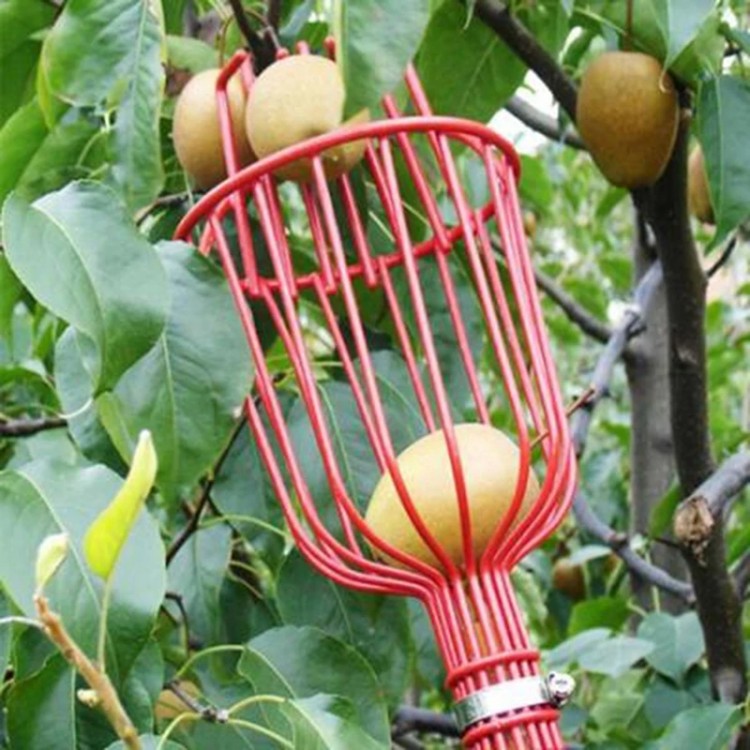 Garden tools Deep Basket Fruit Picker Head Convenient Fruit Picker Catcher Apple Peach Picking Farm Garden Picking Device