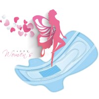 10 packs Anion Sanitary Napkin Slipeinlage Anion Pads Feminine Hygiene Anion Love Moon Pads Ladies Love Moon Sanitary Pads