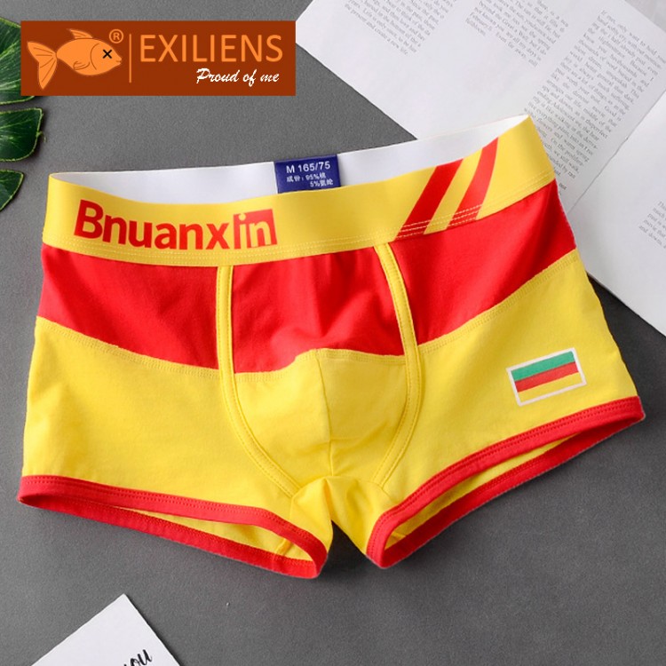 EXILIENS Brand New Flag Series Cotton Boxer Men Underwear Bermuda Ropa Interior  Boxers Cuecas Masculinas Man Hot Size M-3XL