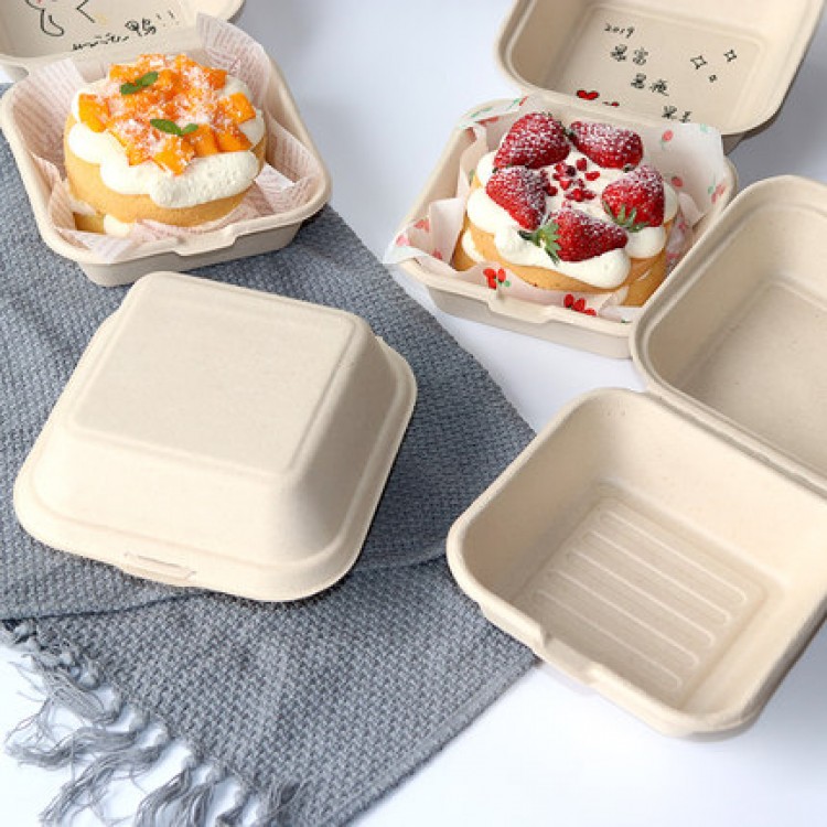 20/40/50Pcs Disposable Lunch Box Eco-Friendly Bento Box Bakery Container Fruit Hamburger Cake Meal Prep Packaging Food Container