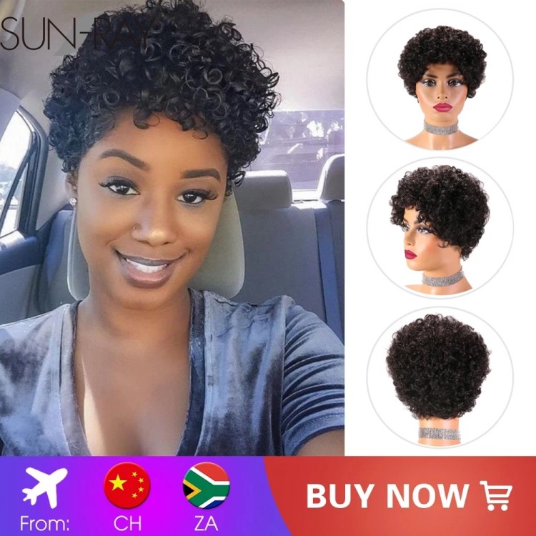 Short Afro Curly Human Hair Wigs for Black Women Brazilian Remy Human Hair Wig Made Machine  African American Cheap Wigs