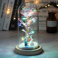 Hot LED Enchanted Galaxy Rose Eternal 24K Gold Foil Flower With Fairy String Lights In Dome For Christmas Valentine&#39;s Day Gift