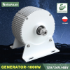 Pmg 1000w Wind Turbine Generator 12v 24v 48v 750 Rpm Ac Dc Power Magnetic Dynamo Water Turbine Hydro Alternator Free Energy - Alternative Energy Generators