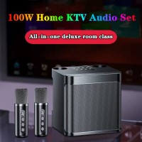 100W explosive portable professional karaoke dual microphone bluetooth speaker outdoor home smart external device caixa de som