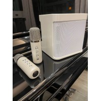 100W explosive portable professional karaoke dual microphone bluetooth speaker outdoor home smart external device caixa de som