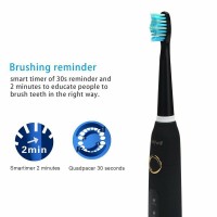 Electric Toothbrush D7/Fw507 Sonic Adult Rechargeable Couple Automatic Toothbrush Personal Home Appliances